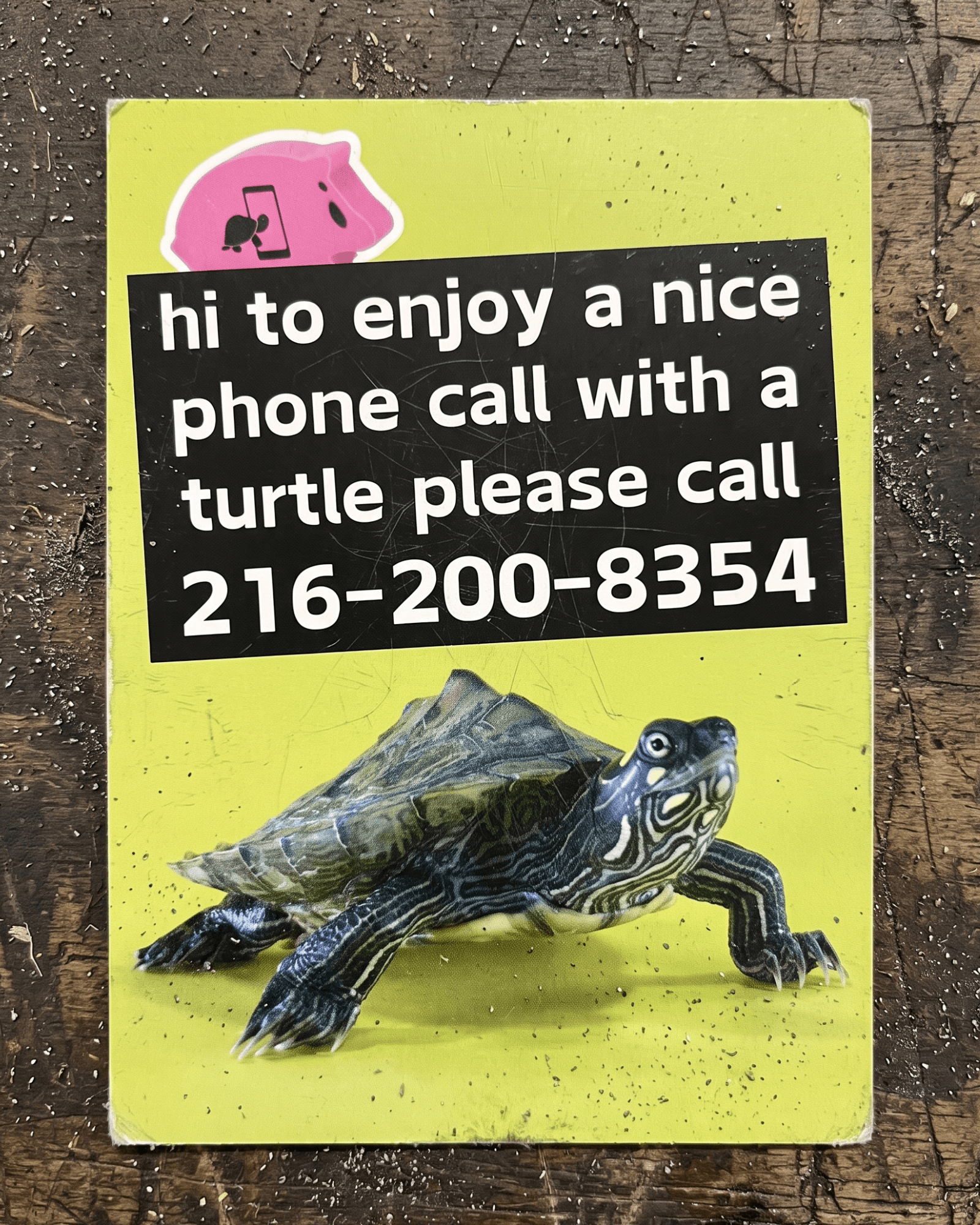 call a turtle card photographed on wood