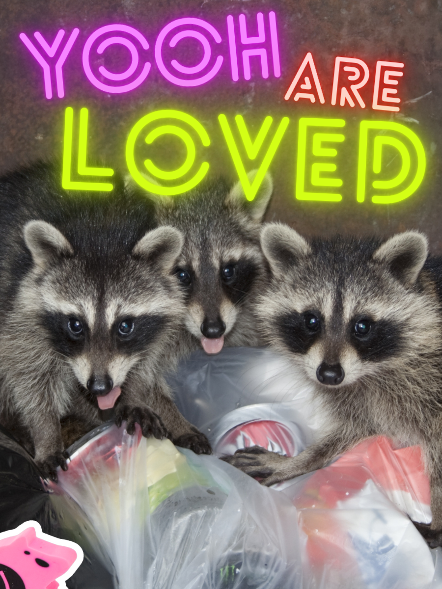 yooh are loved trash pandas card