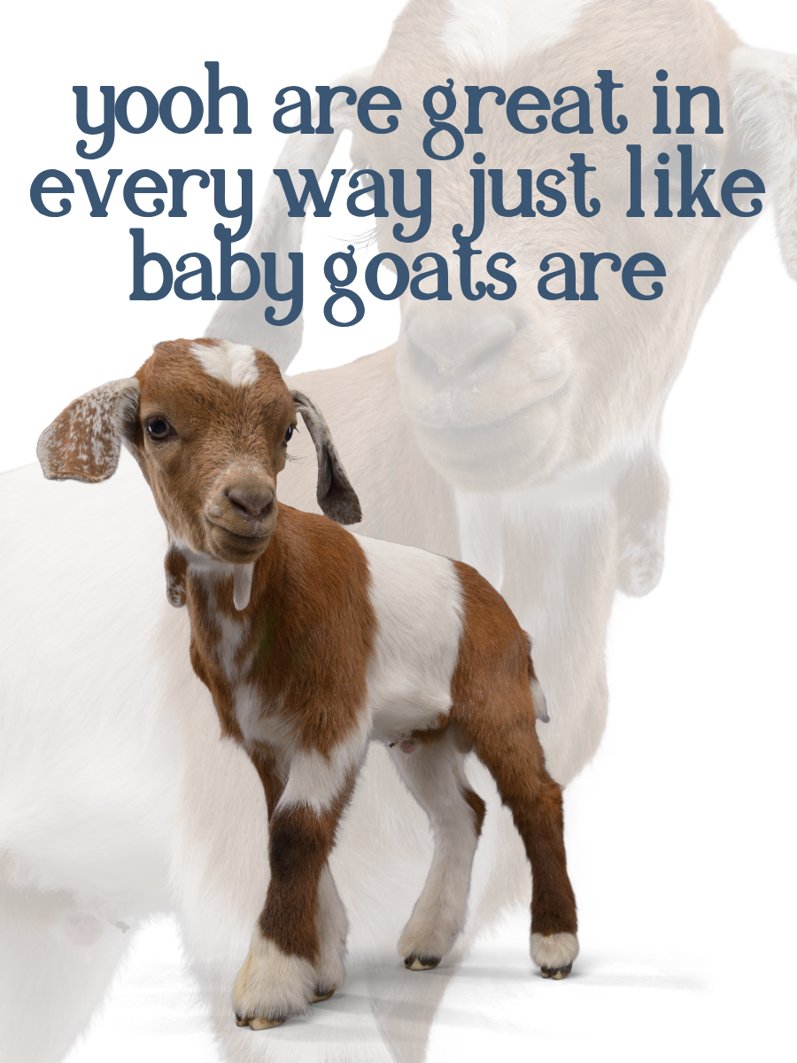 yooh are great just like baby goats are card