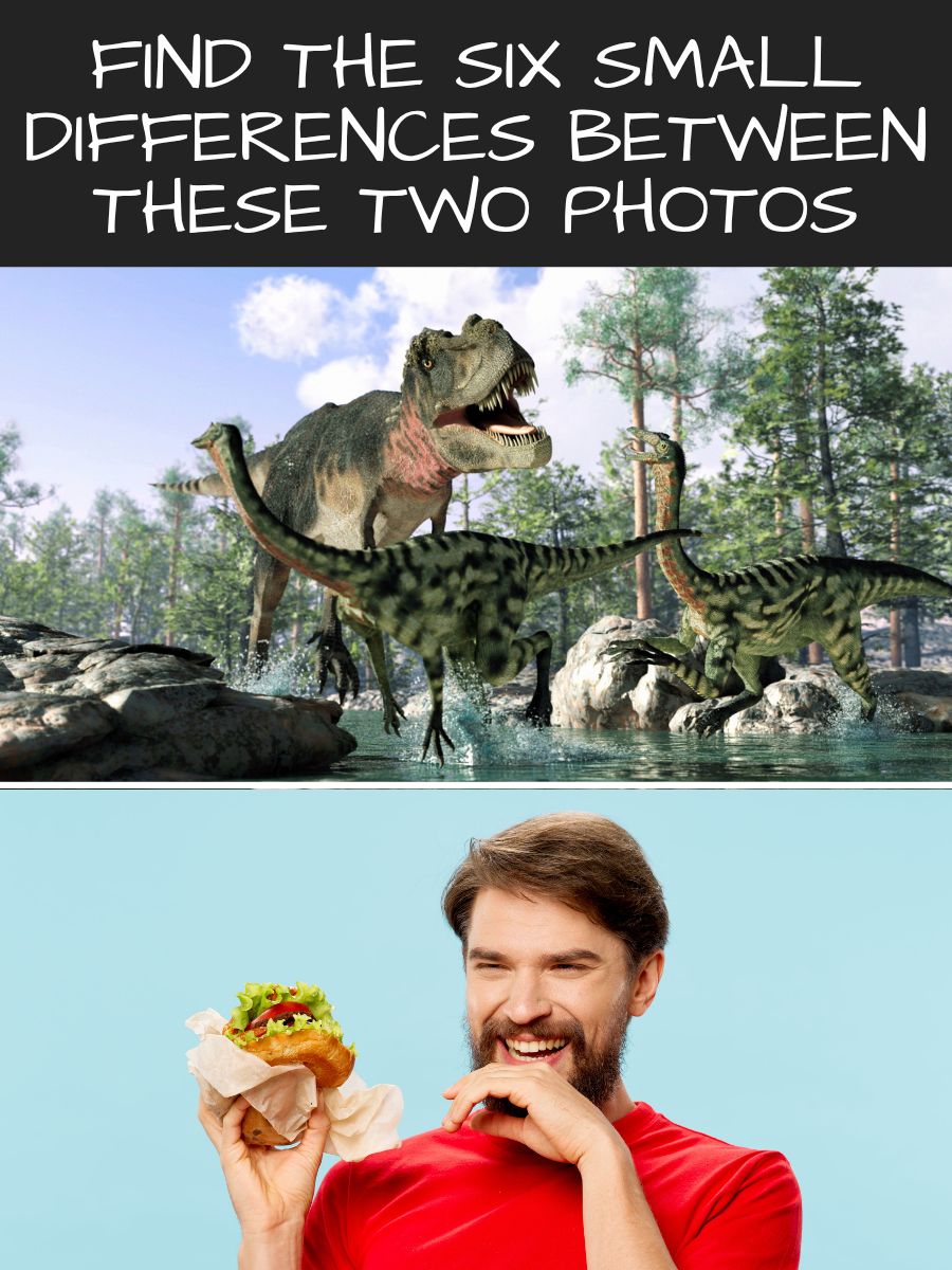 find all six differences between these photos card