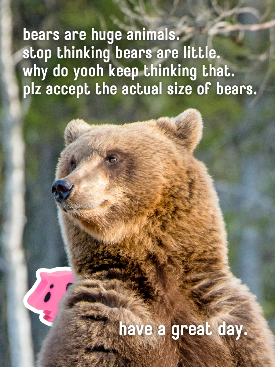 have a great day reconsidering the size of bears card